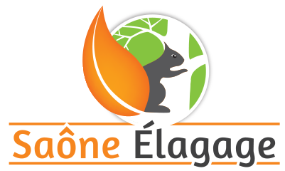 Logo Saône Elagage