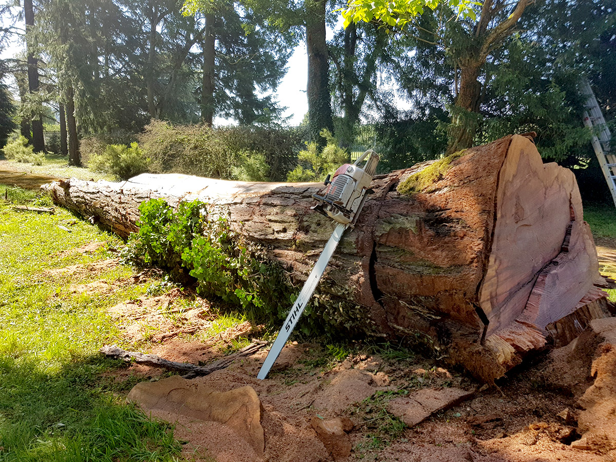 NOS RÉALISATIONS